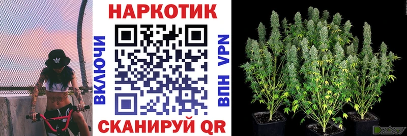 Где продают наркотики Нальчик ГАШ  COCAIN  Меф 