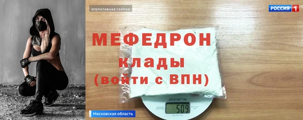 гидра Няндома