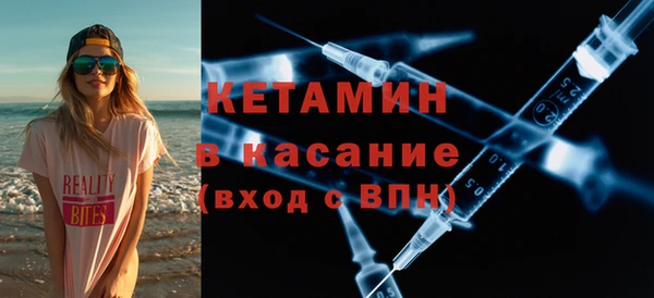 гидра Няндома