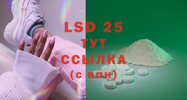 гидра Няндома