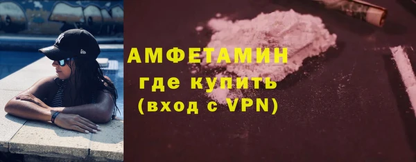 гидра Няндома