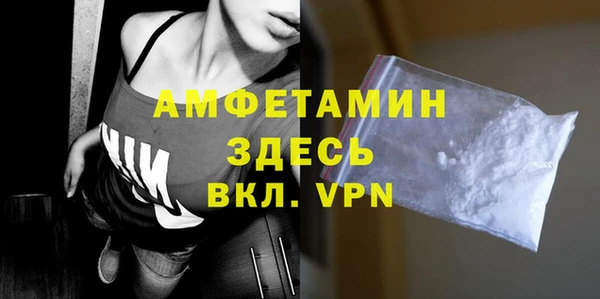 гидра Няндома