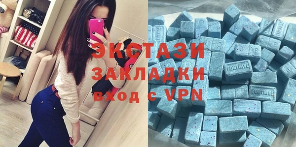 гидра Няндома