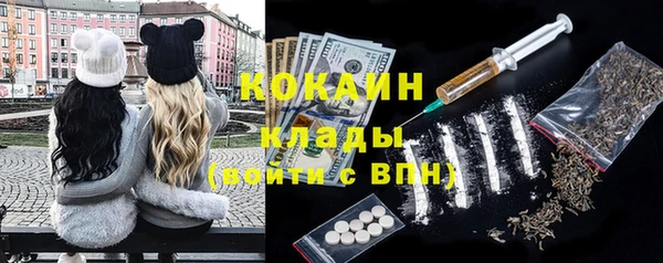 гидра Няндома