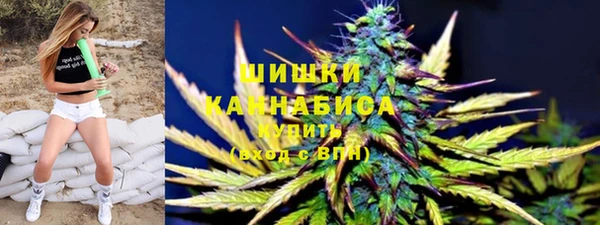 apvp Бердск