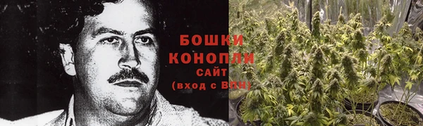 гидра Няндома