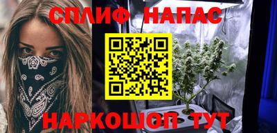 трава Гатчина