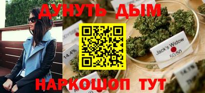 трава Гатчина