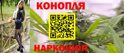 трава Гатчина