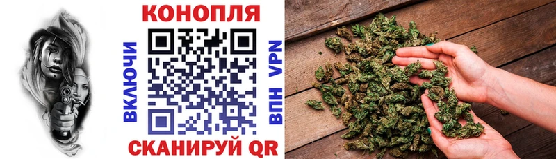 Канабис ГИДРОПОН  Нальчик 